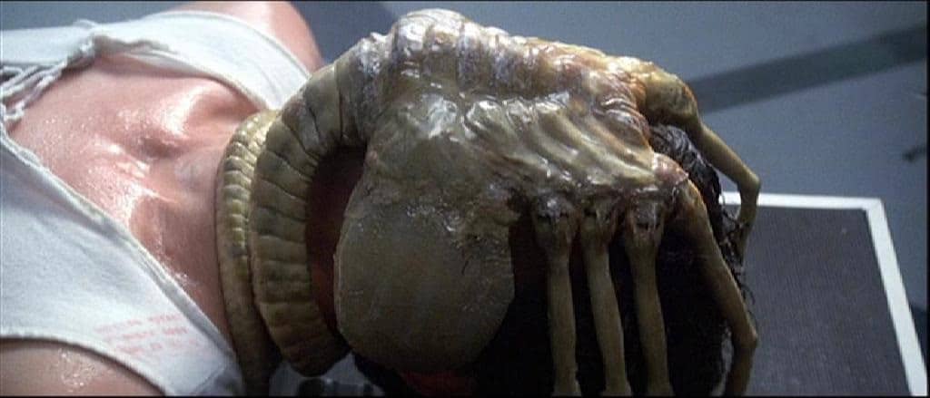 Alien facehugger