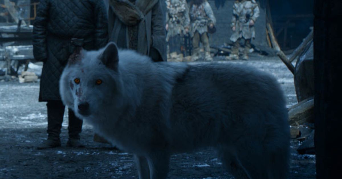 Risultati immagini per got 8x04 ghost