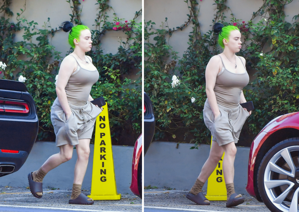 Billie Eilish paparazzi body shaming