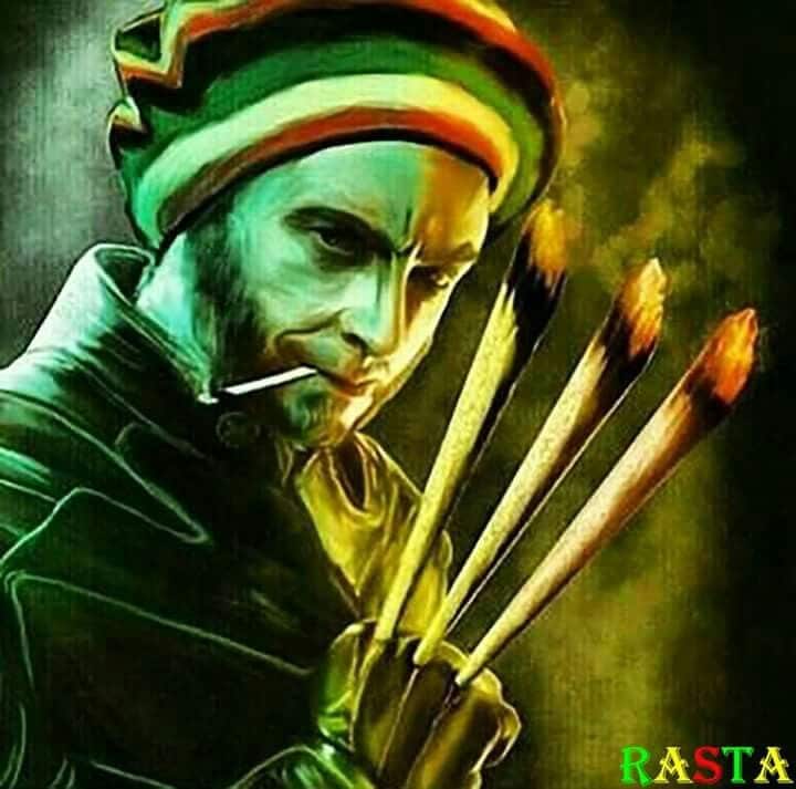 Rasta Wolverine fa sempre sognare. Immagine da Pinterest